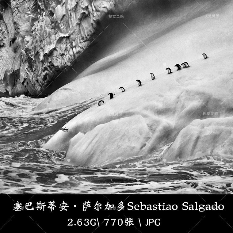 萨尔加多Sebastiao Salgado演讲纪录片人文纪实摄影集参考素材集