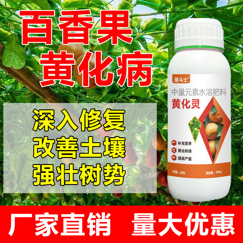 百香果黄化病黄叶卷叶一喷灵果树叶面肥