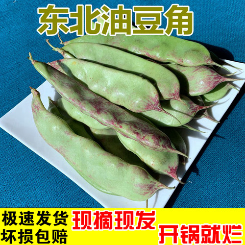 东北一点红油豆角现摘现发