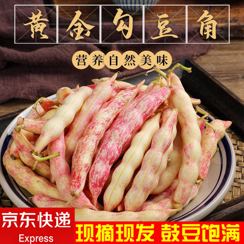 东北特产黄金勾豆角新鲜蔬菜