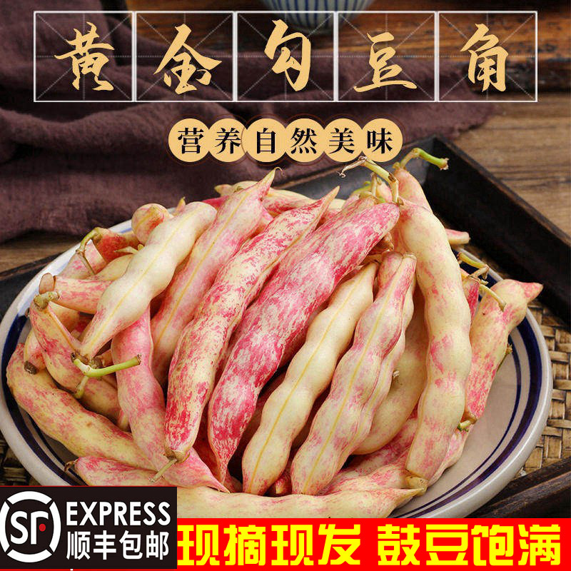 东北特产红金勾豆角新鲜蔬菜勾沟黄豆角油豆角八月忙鼓豆角芸豆角