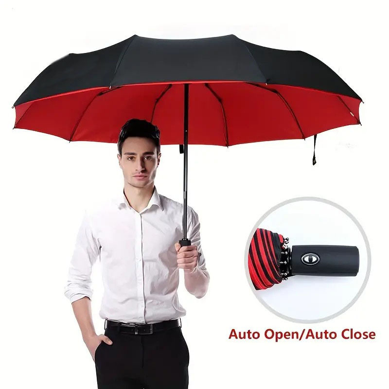爆款双层全自动10骨晴雨伞防风图片