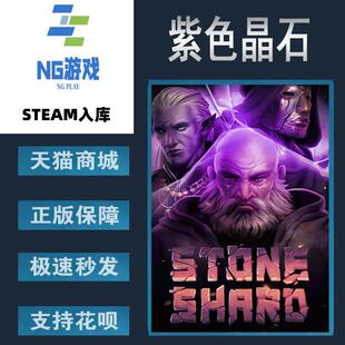 PC正版 steam 中文游戏  紫色晶石 Stoneshard 像素图形 生存 探