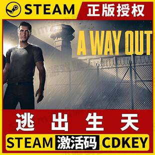 【逃出生天】单机Steam正版游戏授权国区CDK不限区中文 A Way Out