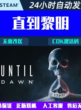 直到黎明重制版Until Dawn Steam电脑游戏CDK激活码全球区国区
