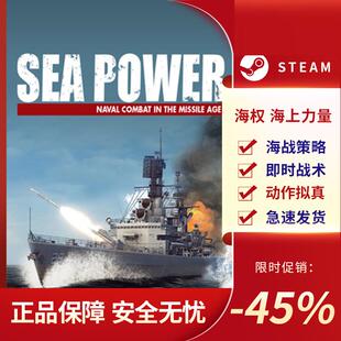 海权 海上力量 sea power 即时战术 动作拟真 策略 Steam正版PC