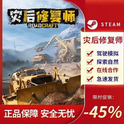 Steam正版灾后修复师Ro