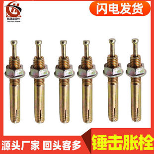 机芯膨胀螺丝一钉得锤击壁虎敲击式 膨胀螺栓举升机膨胀m6m8m10m12