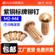 紫铜标牌铆钉GB827滚花铭牌实心半圆头大头铆钉M2M2.5M3M4