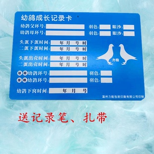 直系一套鸽子养殖表册用品具幼鸽成长记录卡配对登记信鸽记录本牌