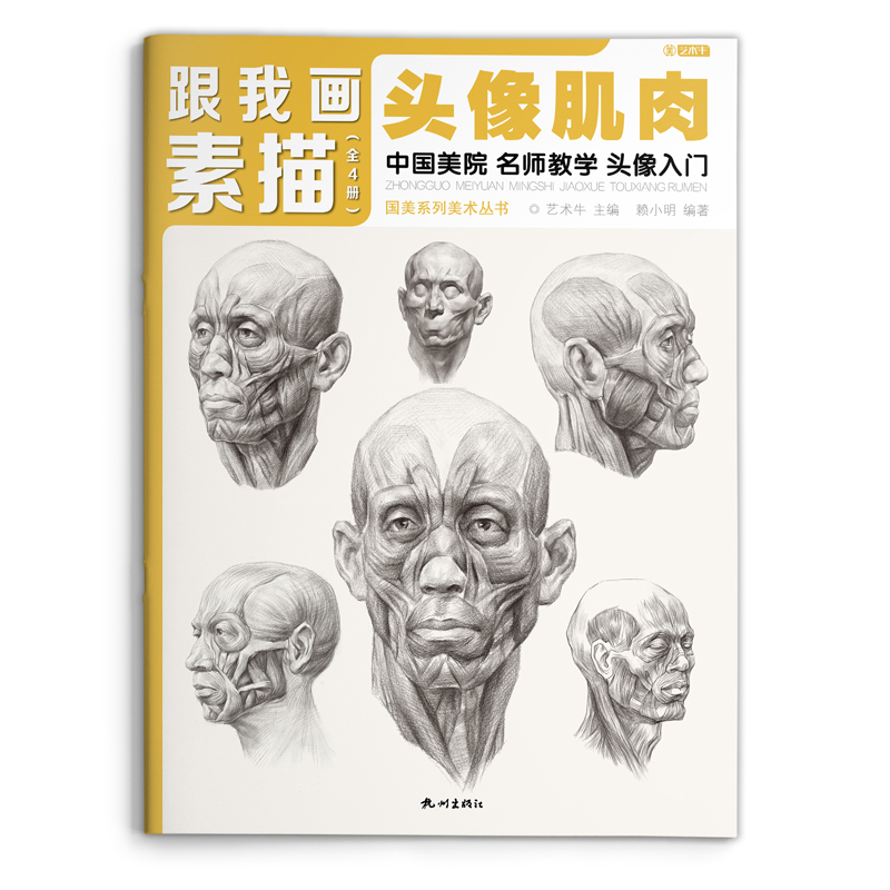 素描头像肌肉高清入门书