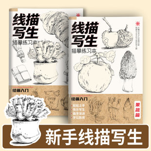 线描写生加厚描摹本高清线稿可描红临摹专为绘画控笔入门设计纸张厚实不透墨零基础新手儿童画画专用临摹图画本反复练习超实用