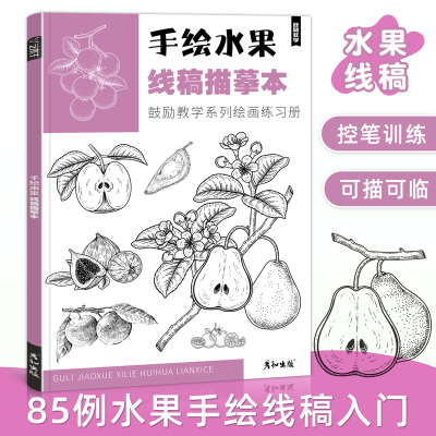 手绘水果线稿描摹本新手控笔练习