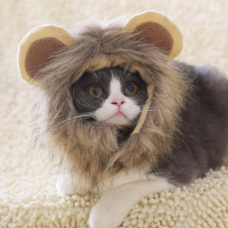 Cute Lion Mane Cat Wig Pet Small Dog Cats Costume Lion Mane