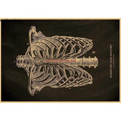 Anatomical Skeleton Chalkboard Poster Kraft Paper Posters Vi