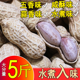 福建龙岩湿烤水煮蒜香五香白晒多味七彩熟花生2025新炒下酒菜年货