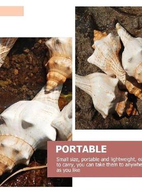 Large 15-17cm Conch Shells Natural Sea Shell Decor Fish