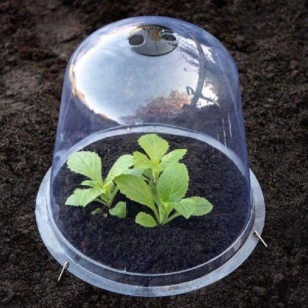 6/12PCS Reuseable Plastic Greenhouse Garden Plant Bell