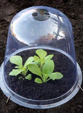 6/12PCS Reuseable Plastic Greenhouse Garden Plant Bell