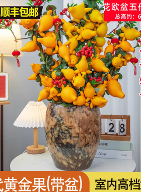 五代同堂黄金果盆栽插花年宵花客厅新居春节开业店庆盆景招财进宝