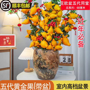 五代同堂黄金果盆栽插花年宵花客厅新居春节开业店庆盆景招财进宝