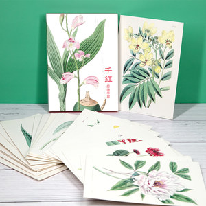水彩小清新插画价格 水彩小清新插画图片 星期三