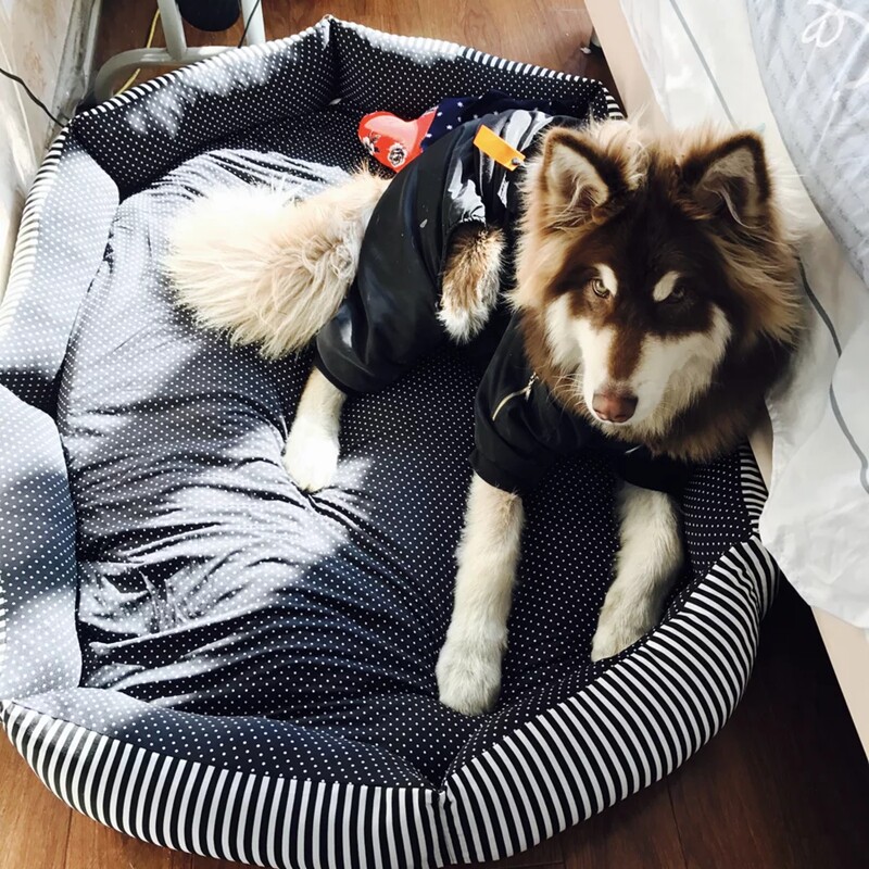 狗窝可拆洗金毛窝萨摩耶拉布拉多阿拉斯加大型犬窝狗床狗垫子四季