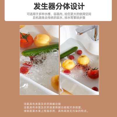 果蔬消毒机果蔬清洗机多功能双头臭氧杀菌除农残洗菜机食材净化器