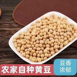 东北黑龙江黄豆农家自产大黄豆五谷杂粮豆类豆浆生豆芽黄豆