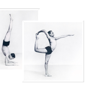 艾扬格大师瑜伽体式挂画简约无相框客厅场馆装饰画报壁画热销新品