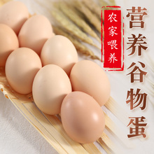 正宗谷物蛋散养初生蛋土鸡蛋新鲜农家笨鸡蛋儿童辅食当日现捡 包邮