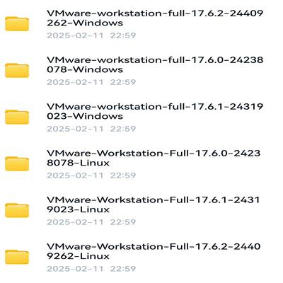 [议价]VMware  Workstation Pro17.