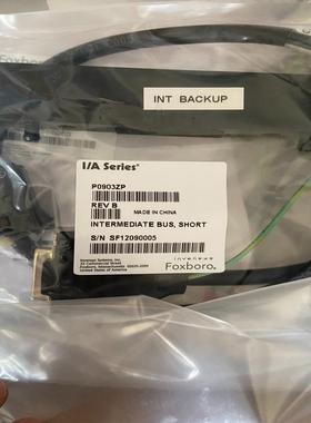 [议价]波罗foxboro连接线缆 P0903ZP，全新，