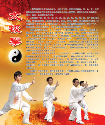 太极拳简介 太极拳普及展板 拳馆 武馆 拳社宣传画 武馆装饰画