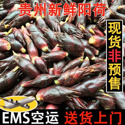 最新优惠券大全 风省钱