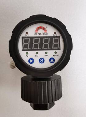 SS-CM19 SS-CM21台湾华记SAFE-GAUGE数显PP隔膜电子式压力表1/2PT