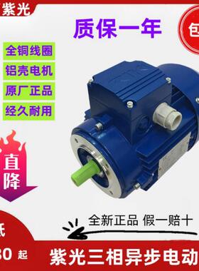 紫光MS7112 MS7122 MS7132 MS8012 MS8022三相交流电机立式马达