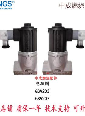 GSV203 GSV205 GSV207 GSV210/电磁阀/冬斯/德国原装