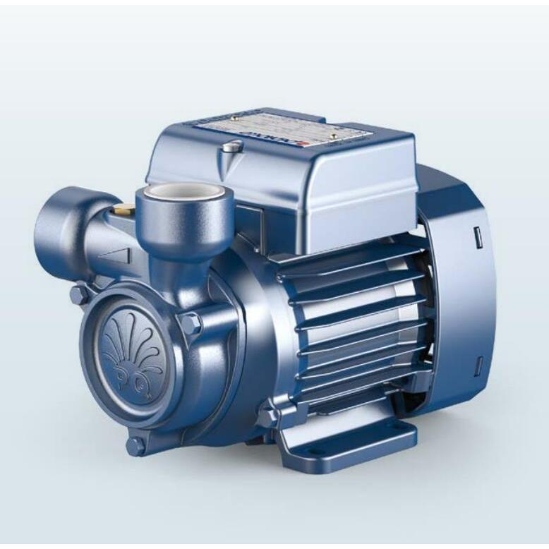 意大利佩德罗水泵 PQm81-BS意大利PEDROLLO PQ81-BS原装水泵