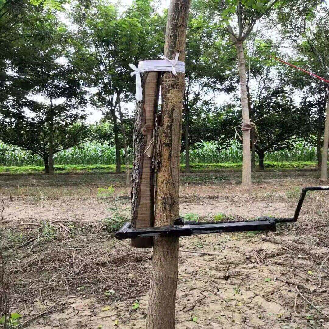 树木直弯器园林果园种植工具歪脖树枝干手摇矫正器树苗调直定型器