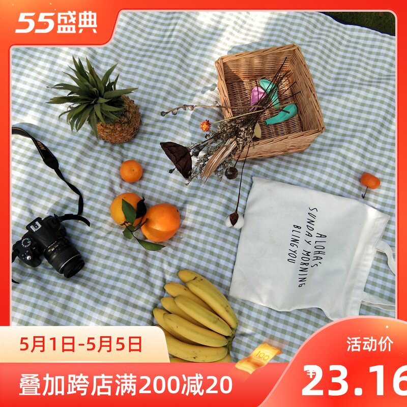 Web celebrity picnic mat moisture proof mat ins wind outdoor