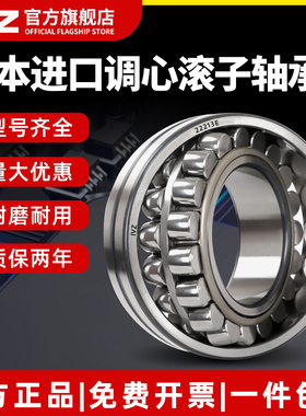 日本进口IVZ调心滚子轴承20309 20310 20311 20312 20313 CA/CC