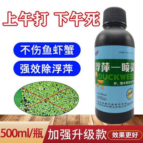 浮萍一喷灵不鱼塘杀浮萍药