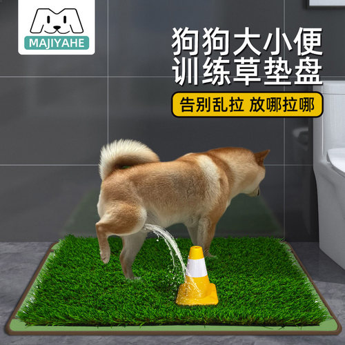 狗狗厕所草坪诱导不用教自己会用