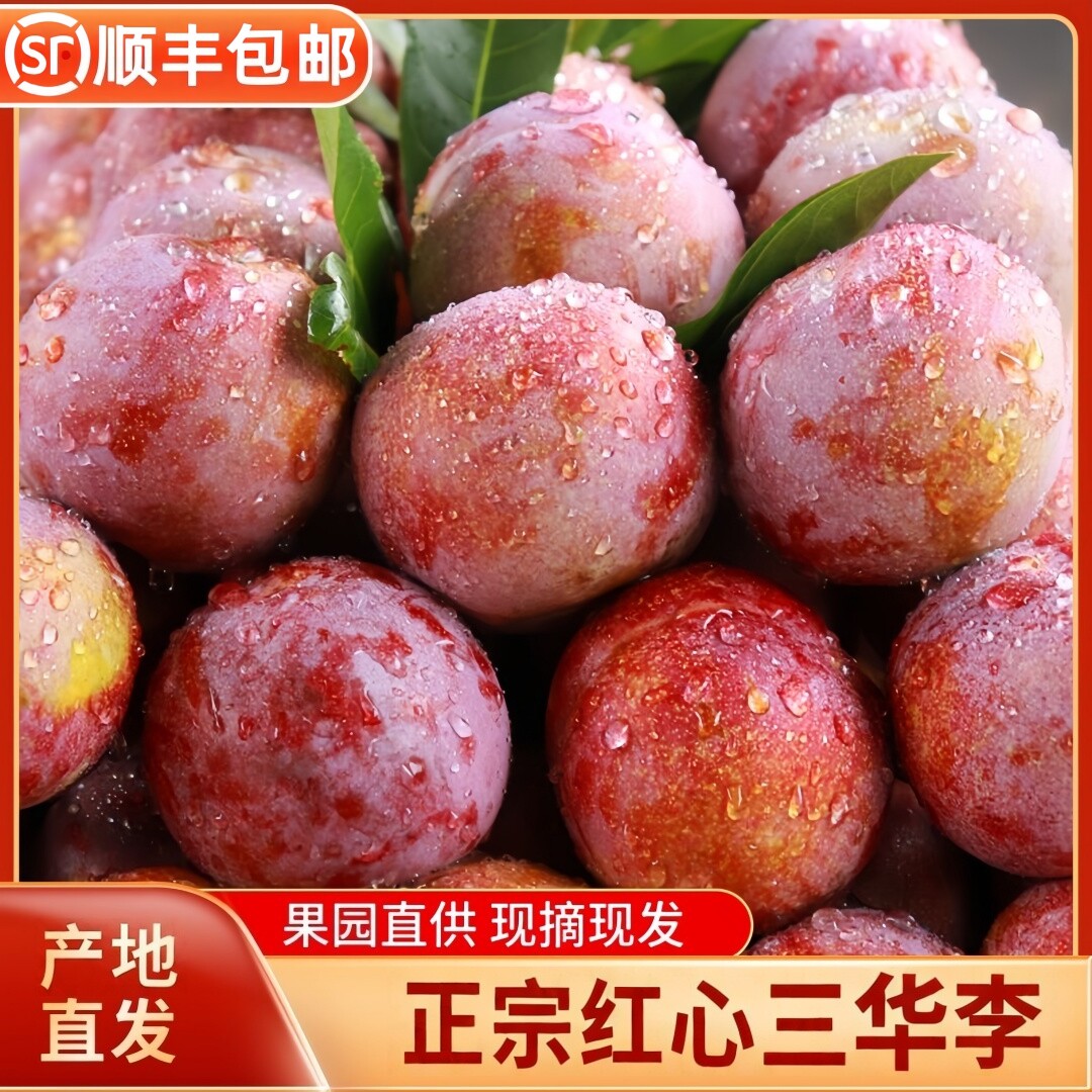 顺丰新鲜三华李广东红心李子孕妇水果现摘酸脆甜广西钱排3当季5斤