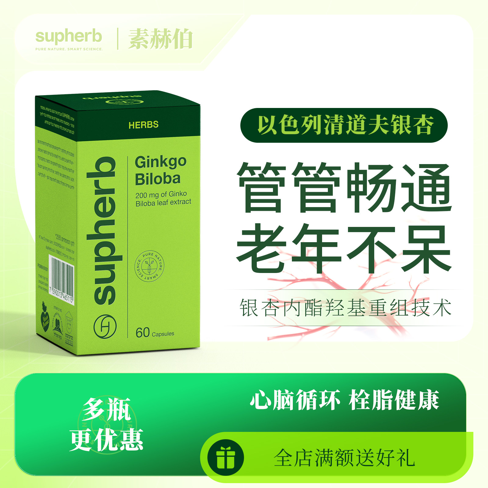 进口金标银杏叶提取物胶囊中老年补充脑营养心血管循环畅通记忆力