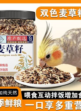 天然双色麦草籽鸟食带壳饲料小太阳和尚鹦鹉白玉麦黑金麦营养粮食