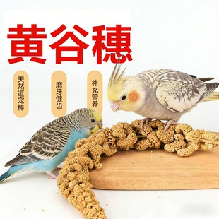 鹦鹉天然谷穗鸟食磨牙健齿互动训练补充营养虎皮牡丹通用宠物用品