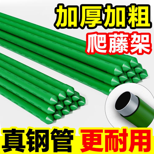 爬藤架花架葡萄番茄豆角黄瓜架子包塑钢管植物种菜搭架园艺支撑杆