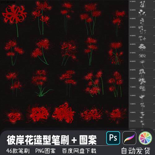 曼陀罗曼珠沙华彼岸花造型辅助PS笔刷预设procreate画笔图案素材